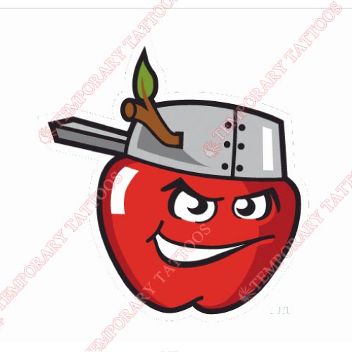 Fort Wayne Tincaps Customize Temporary Tattoos Stickers NO.8102